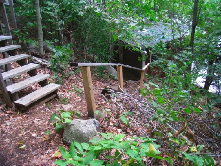 New Handrail in the forest
